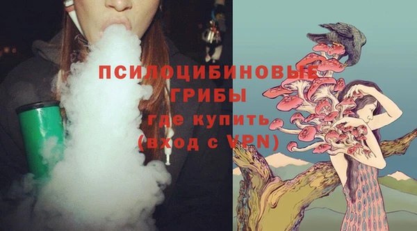 2c-b Верея